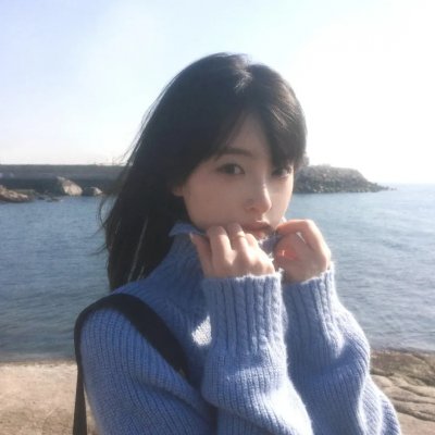 月季花开